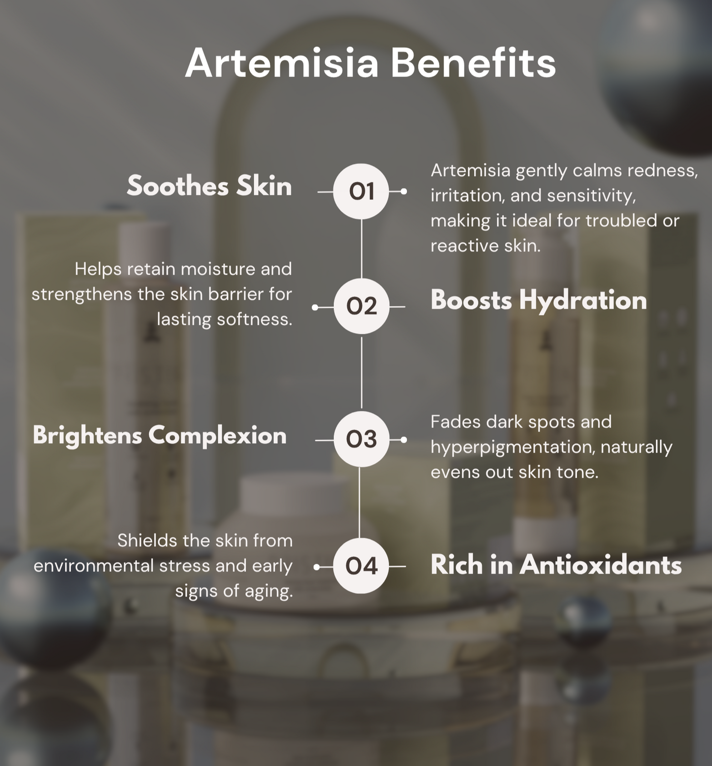 Artemisia Skincare Duo: Oil Cleanser & Moisturizer Essence